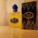 Опис мушког парфема Новаиа Зариа