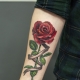 Преглед мушких тетоважа у облику руже на руци и њихова локација